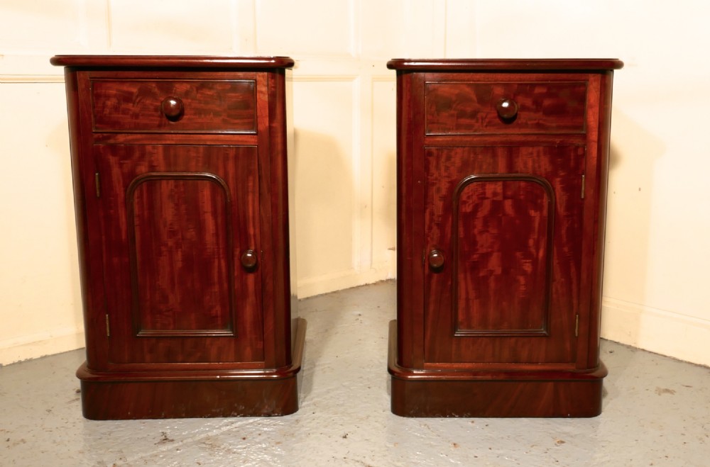 A pair of Victorian Mahogany Bedside Cupboards View IX