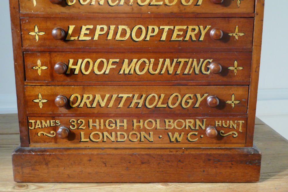 Small Museum Filing Cabinet, Natural History Collectors Cabinet View II