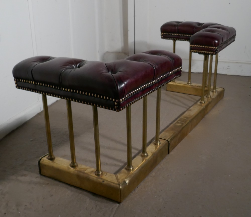 A Lovely Old Adjustable Brass and Leather Club Fender View IV