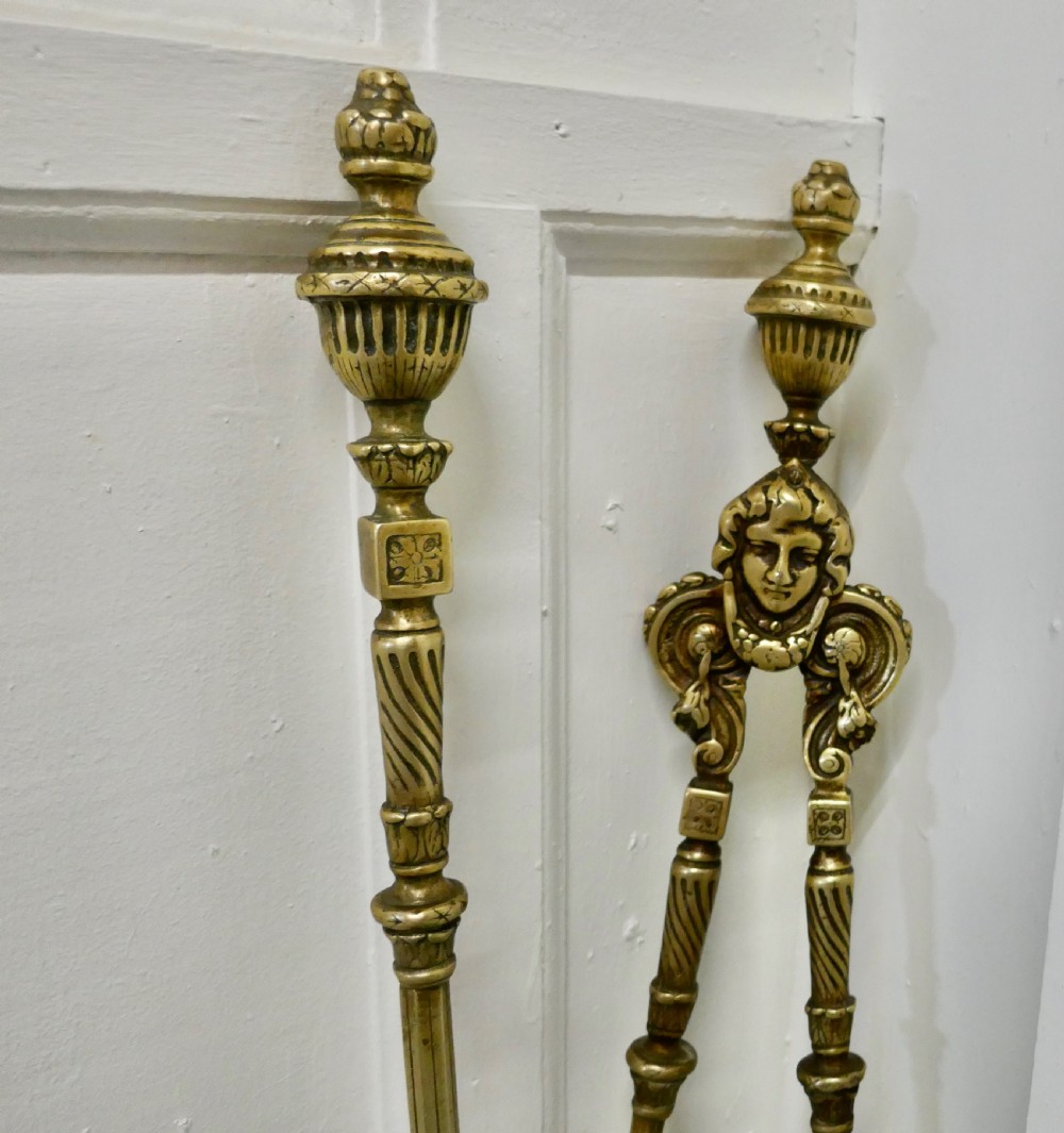19th Century  Gothic Oversized Toasting Fireside Tongs and Fork , Fire Tools View V