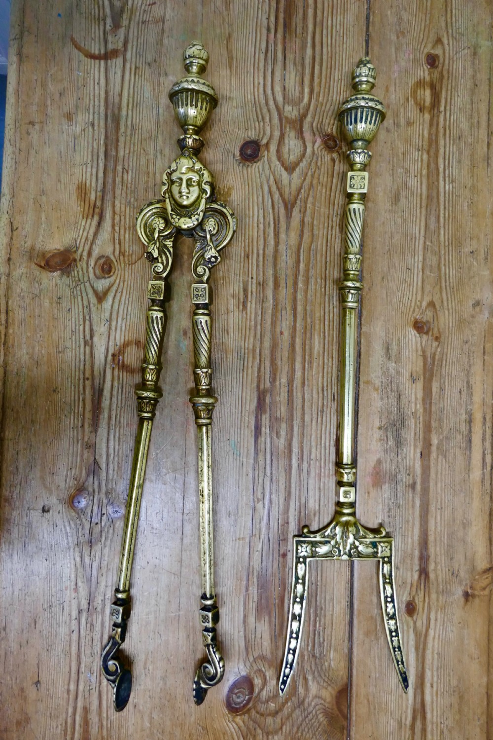19th Century  Gothic Oversized Toasting Fireside Tongs and Fork , Fire Tools View VIII