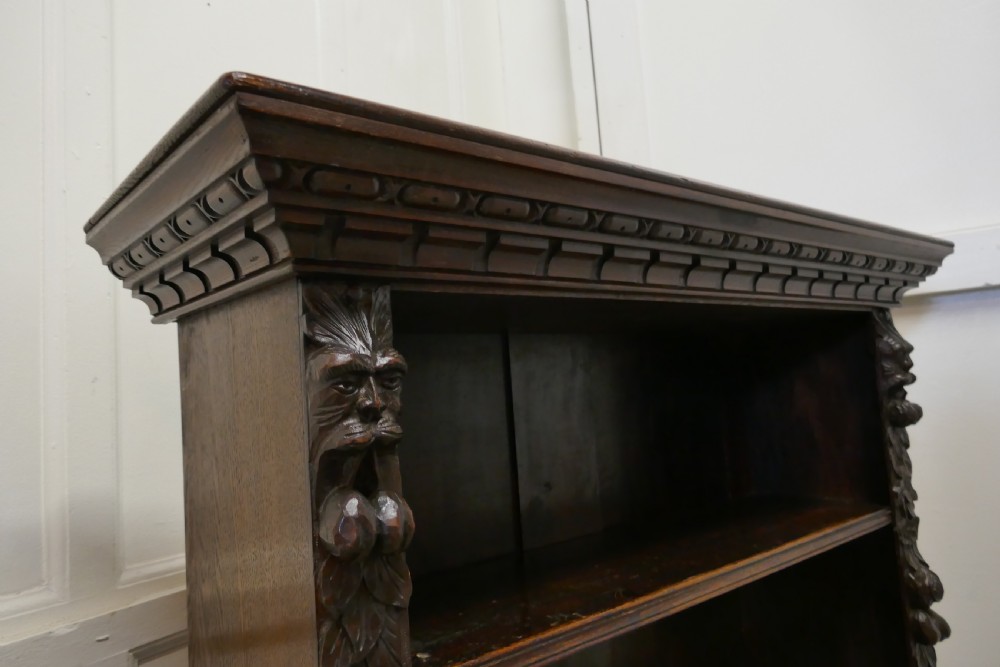 Victorian Green Man Gothic Open Bookcase. View VII