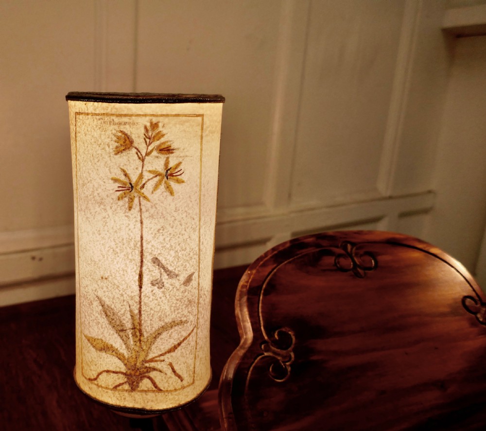 French Chestnut Book Rest Reading Stand Lamp View V