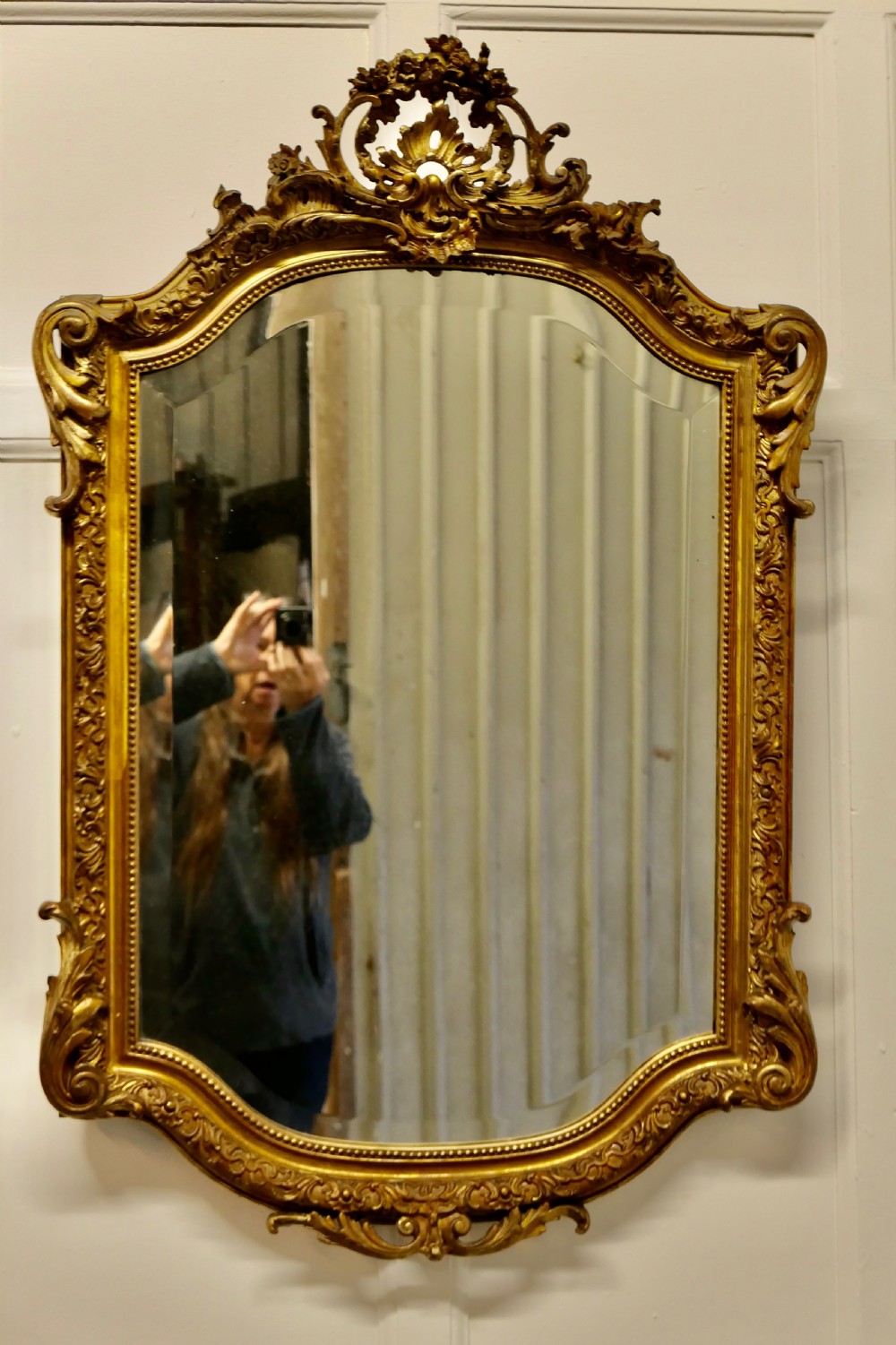 Superb 19th Century French Gilt Pier Mirror  View III