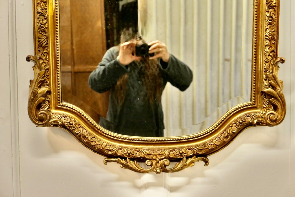 Superb 19th Century French Gilt Pier Mirror  View V
