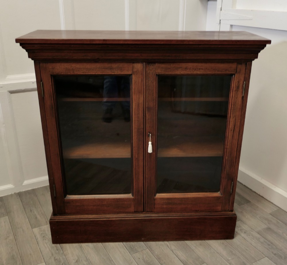 Fine Quality 19th Century Walnut Glazed Bookcase, Cupboard View II