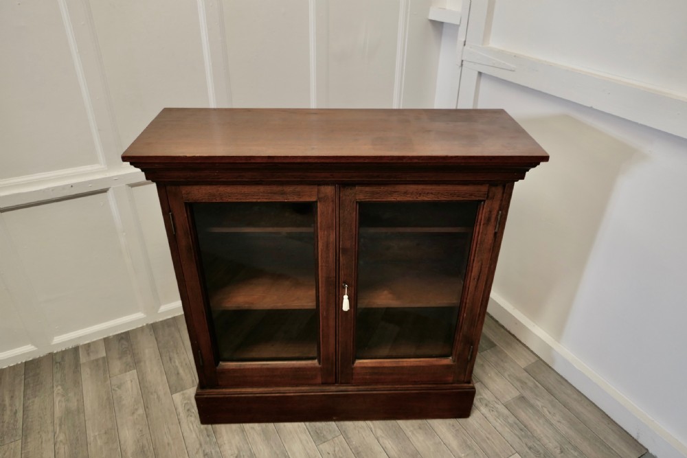 Fine Quality 19th Century Walnut Glazed Bookcase, Cupboard View III