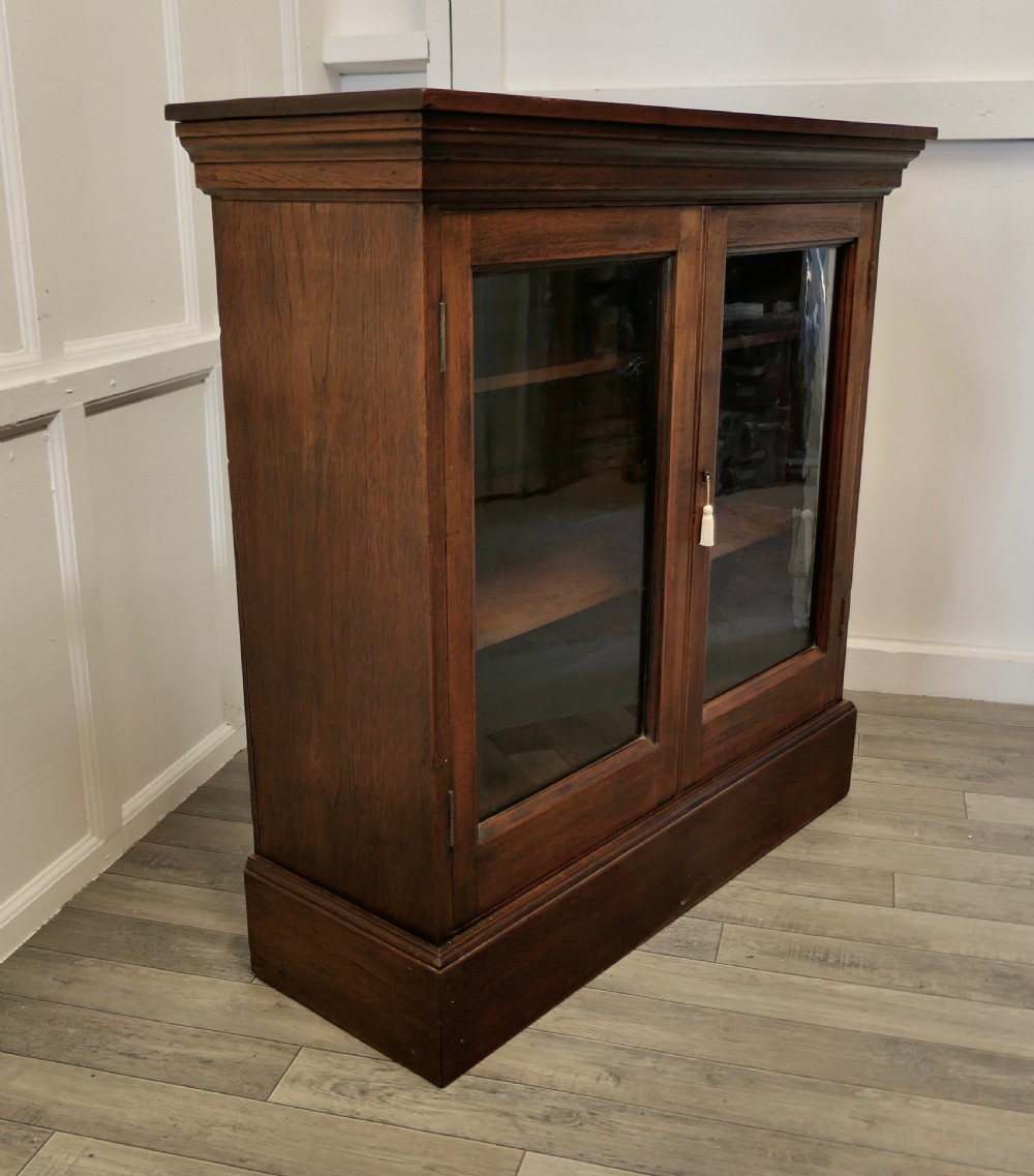Fine Quality 19th Century Walnut Glazed Bookcase, Cupboard View IV