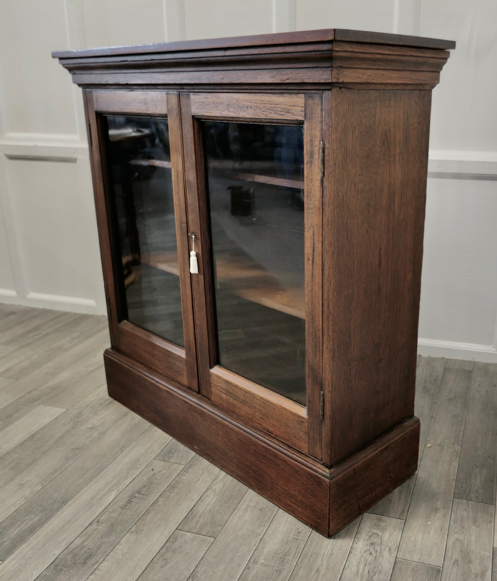 Fine Quality 19th Century Walnut Glazed Bookcase, Cupboard View V