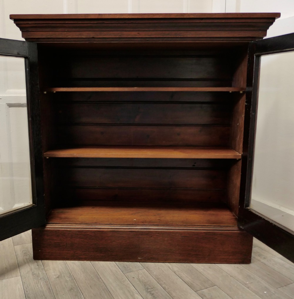 Fine Quality 19th Century Walnut Glazed Bookcase, Cupboard View VI