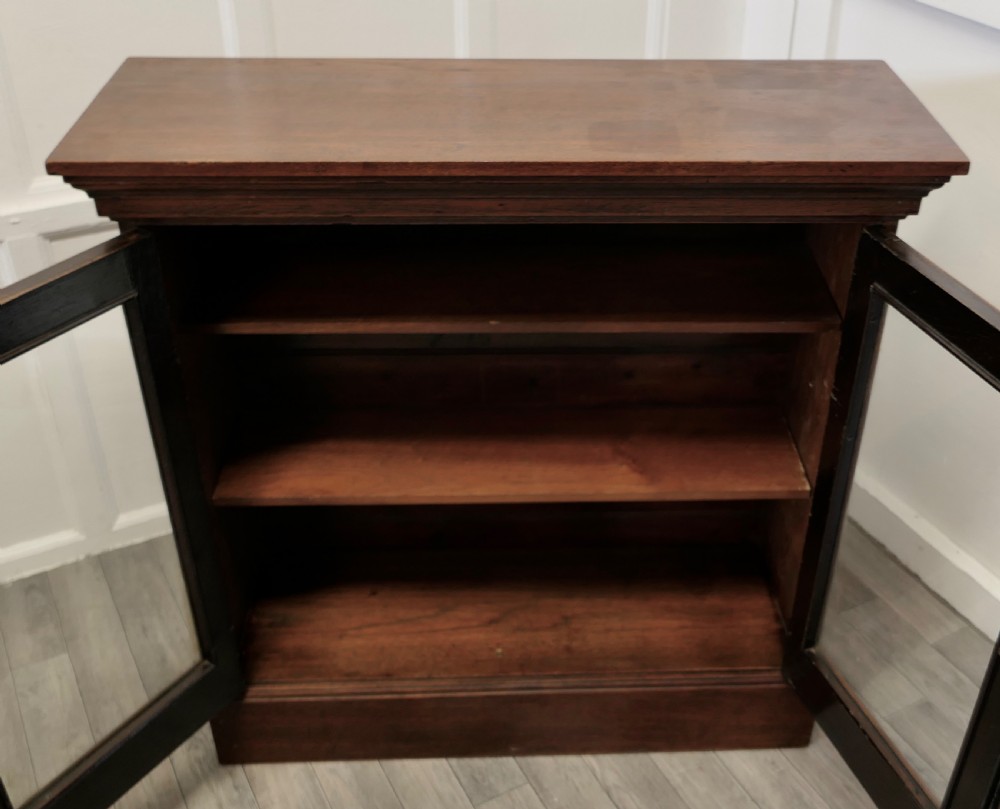 Fine Quality 19th Century Walnut Glazed Bookcase, Cupboard View VII