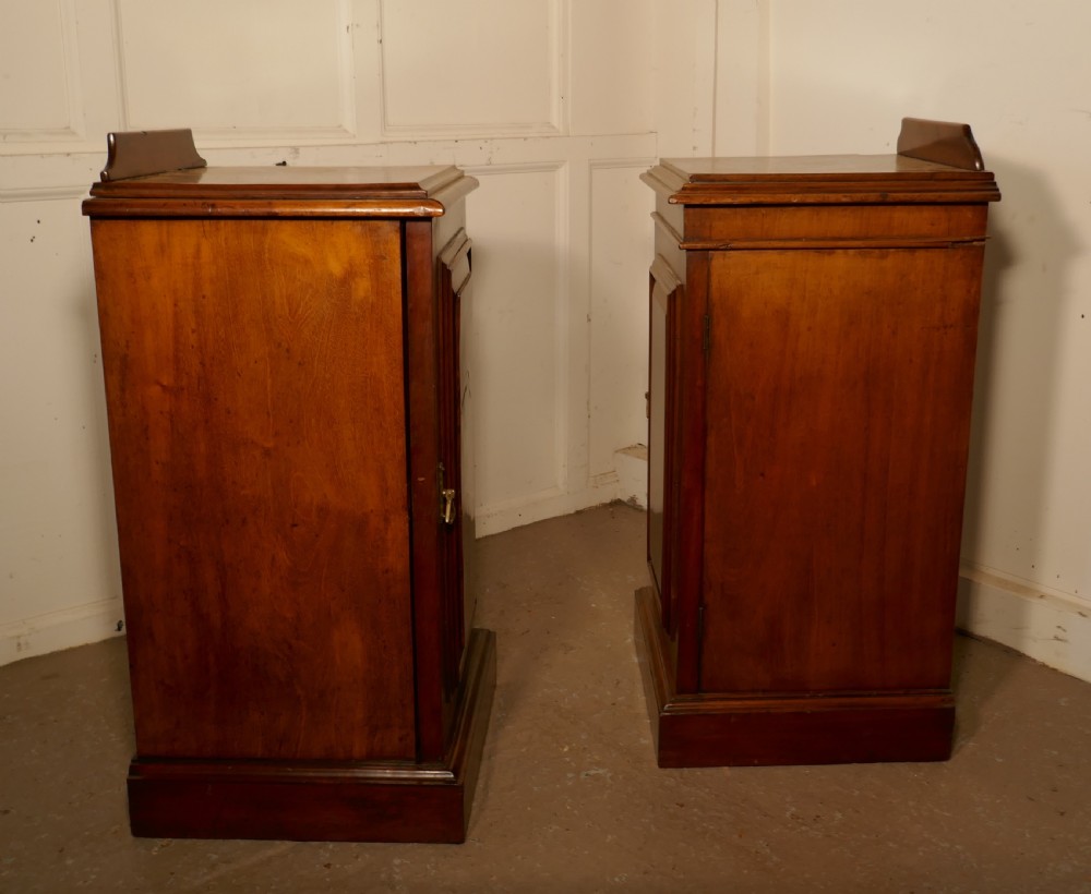 A Near Pair of Victorian Walnut Bedside Cupboards View VI