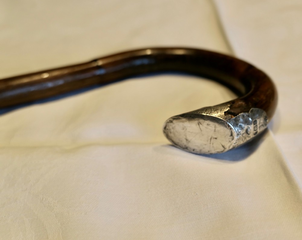 Good Bamboo Walking Stick With Silver Hall Marked Collar & Handle. View VI