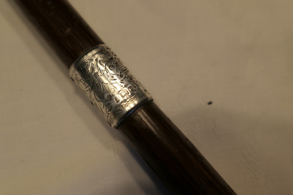 Good Bamboo Walking Stick With Silver Hall Marked Collar & Handle. View IX