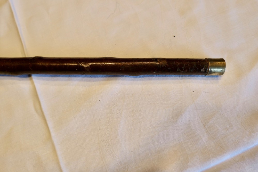 Folk Art Carved Dog Head Walking Stick View VIII