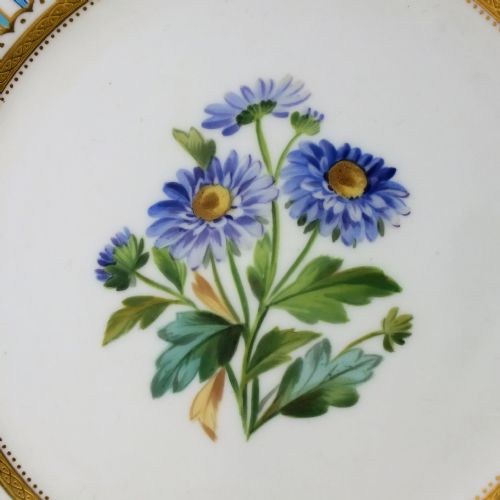 HAND PAINTED MINTON BOTANICAL DESSERT SERVICE C1880 - ADDITIONAL PHOTO 5