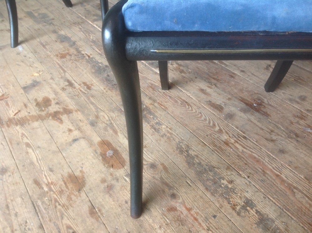 Four regancy painted chairs View V