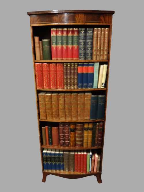 Tall Mahogany Open Bookcase of Slim Proportions