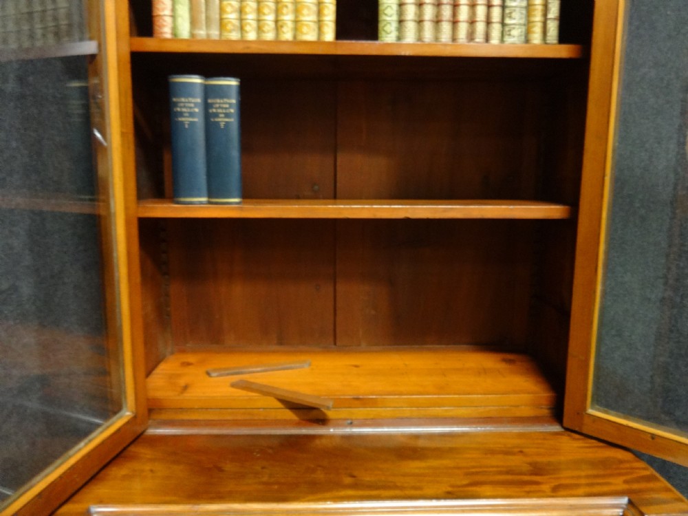 Very Good Quality Mahogany Bookcase on Cabinet of Small Proportions View IX