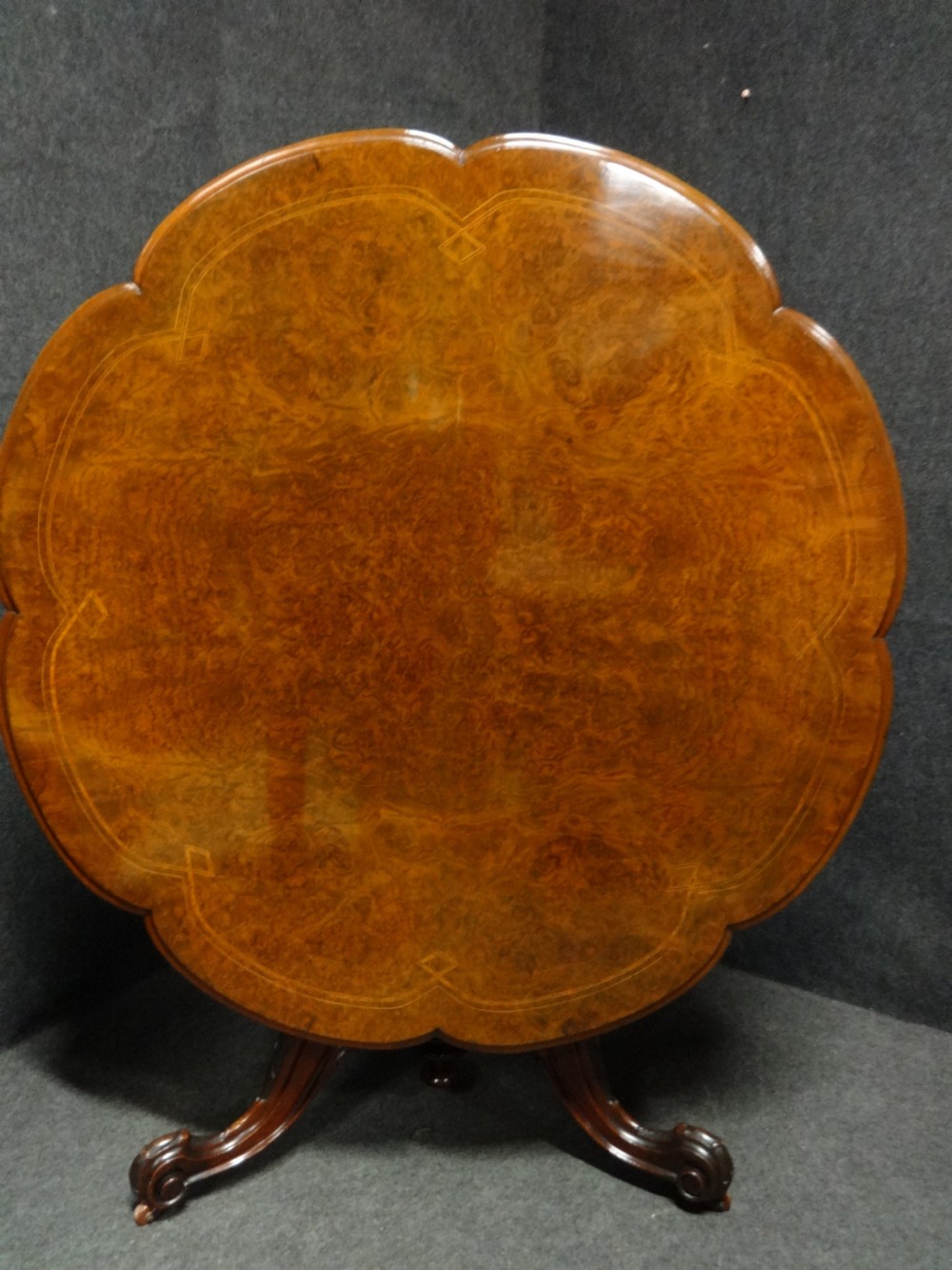 Fabulous Victorian Petal Shaped Burr Walnut Dining Table View IV