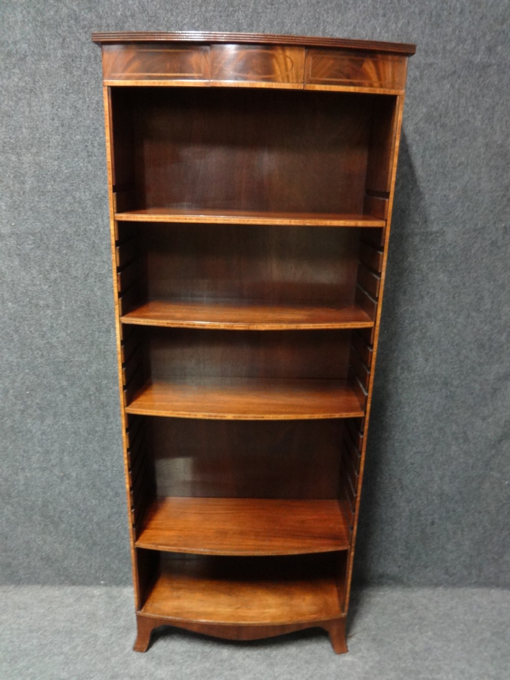 Tall Mahogany Open Bookcase of Slim Proportions View III