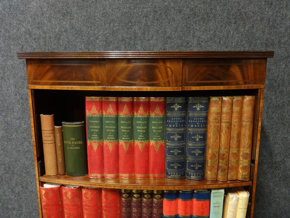 Tall Mahogany Open Bookcase of Slim Proportions View IV