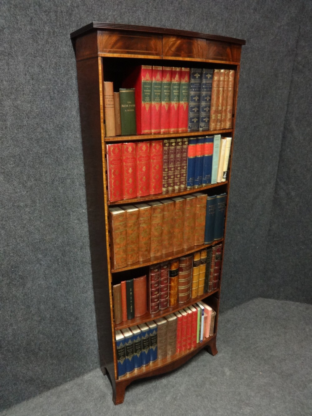 Tall Mahogany Open Bookcase of Slim Proportions View V