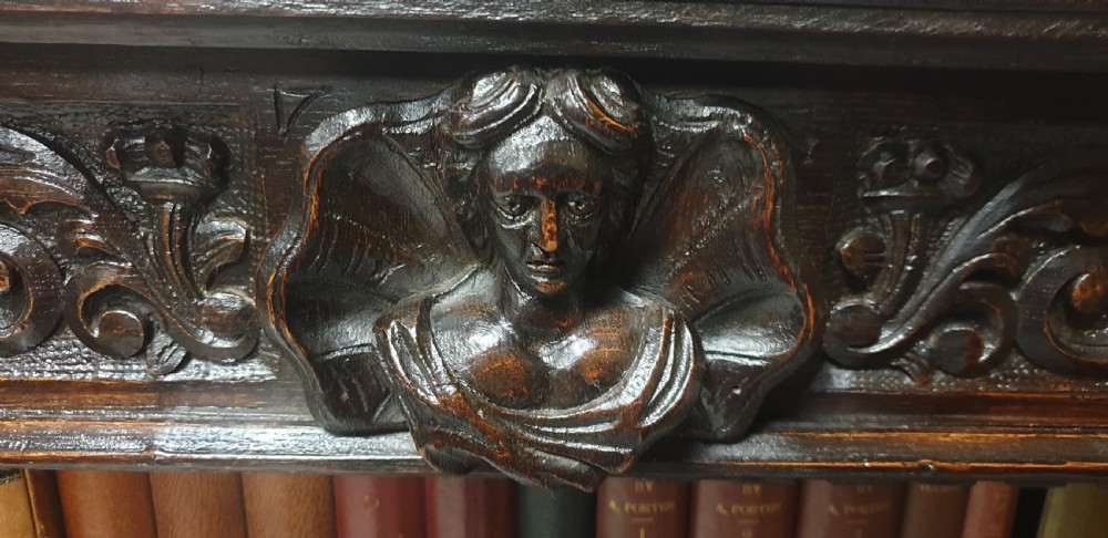 Flemish Oak Open Bookcase View IX