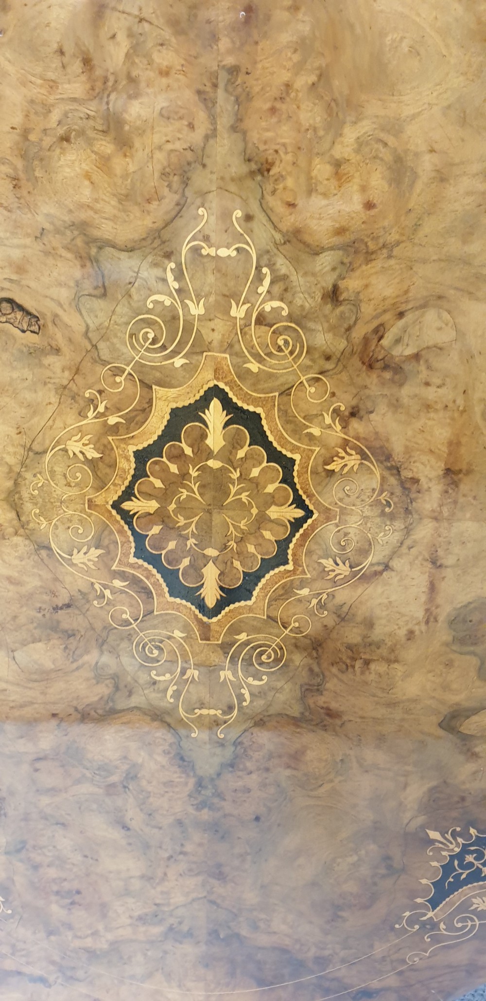 Victorian Burr Walnut Dining Table  View II