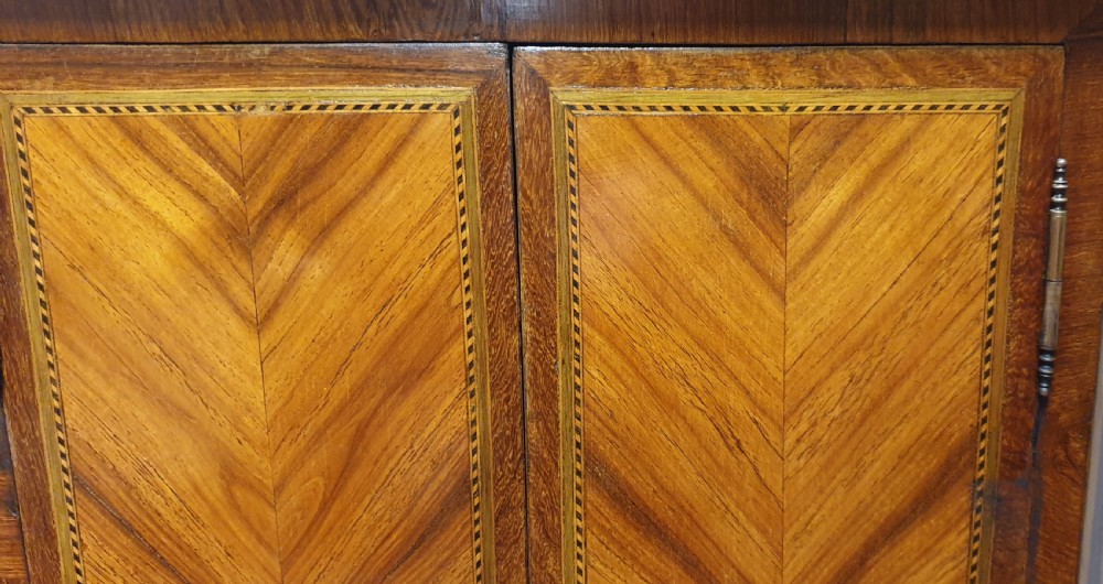 Tall French Kingwood Cabinet View III