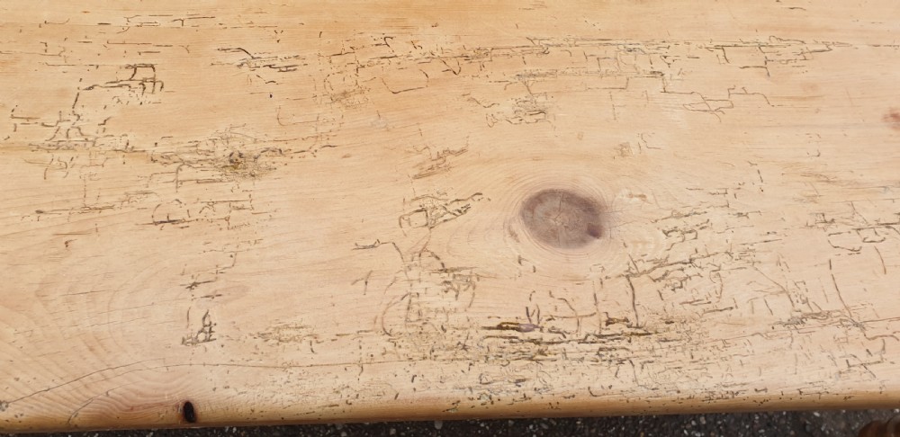 Large Pine Refrectory Kitchen Table  View IV