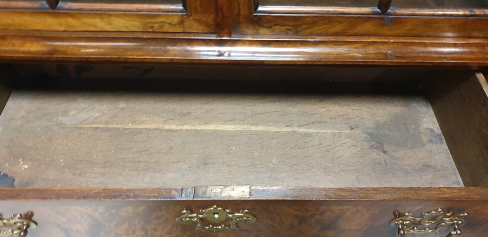 Outstanding Burr Walnut Display Cabinet View XII