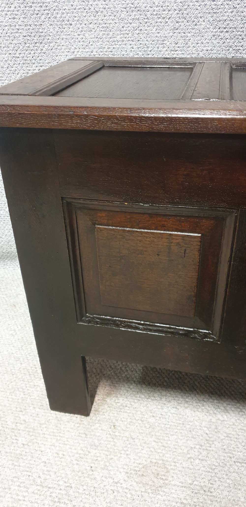 Super Georgian Oak Coffer View III