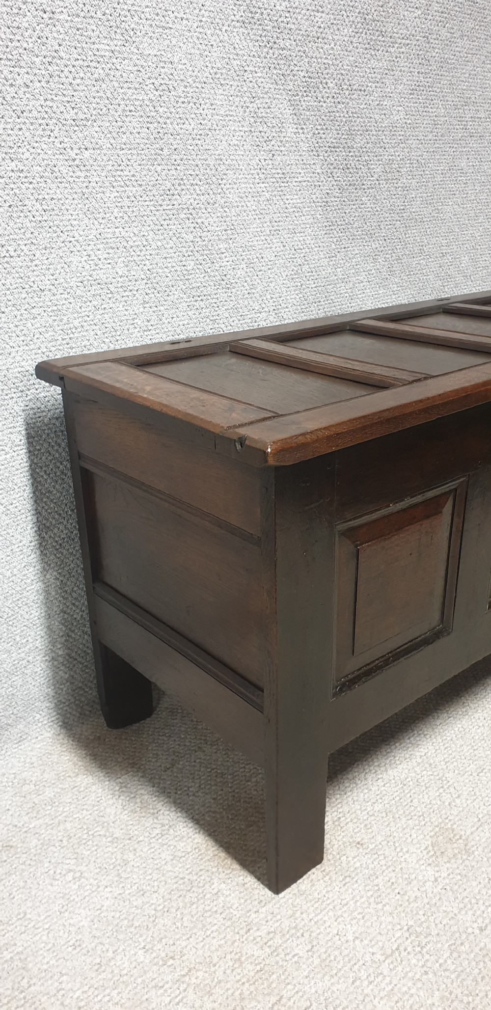 Super Georgian Oak Coffer View VI