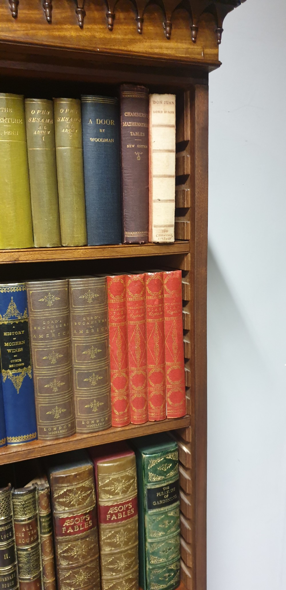 Superb Georgian Mahogany Open Bookcase View XIX