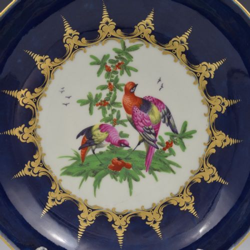 fig 1. An eighteenth-century circular porcelain saucer dish featuring a deep cobalt blue border with gilt scrollwork and a white central medallion containing hand-painted exotic birds.