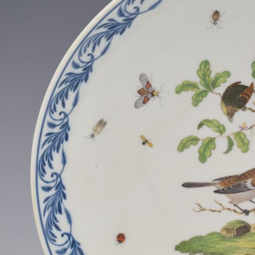 SUPERB LARGE ANTIQUE MEISSEN PORCELAIN ORNITHOLOGICAL BIRD DESSERT DISH C1860 - ADDITIONAL PHOTO 3