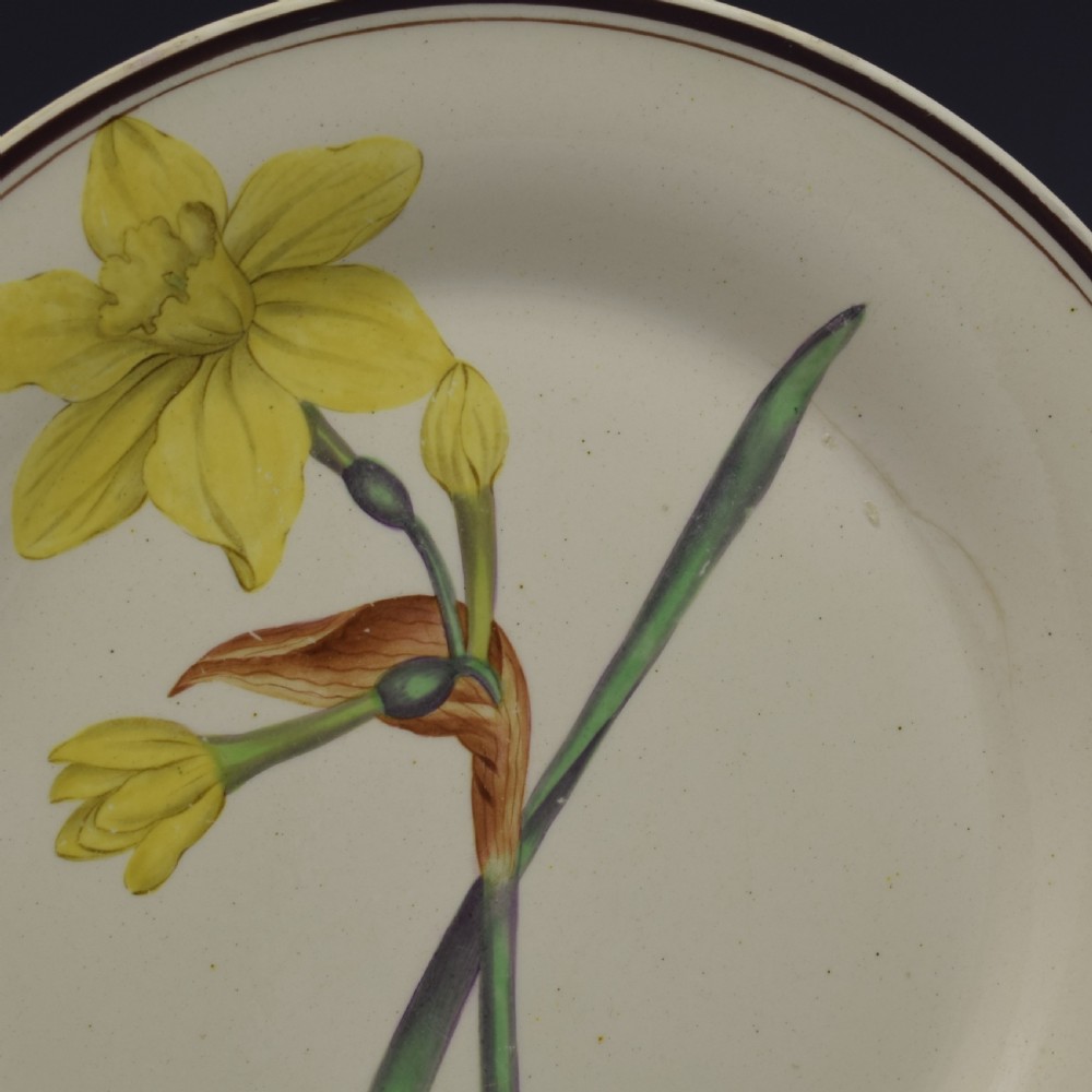 Pair Of Creamware Botanical Plates c.1800-1810 View VI