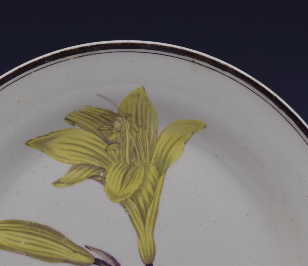 Pair Of Creamware Botanical Plates c.1800-1810 View IX