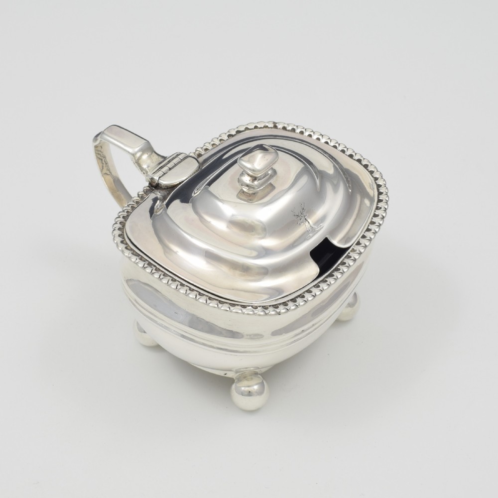 Fine Georgian Silver Bombe Mustard Pot 1817 (George III) View IV