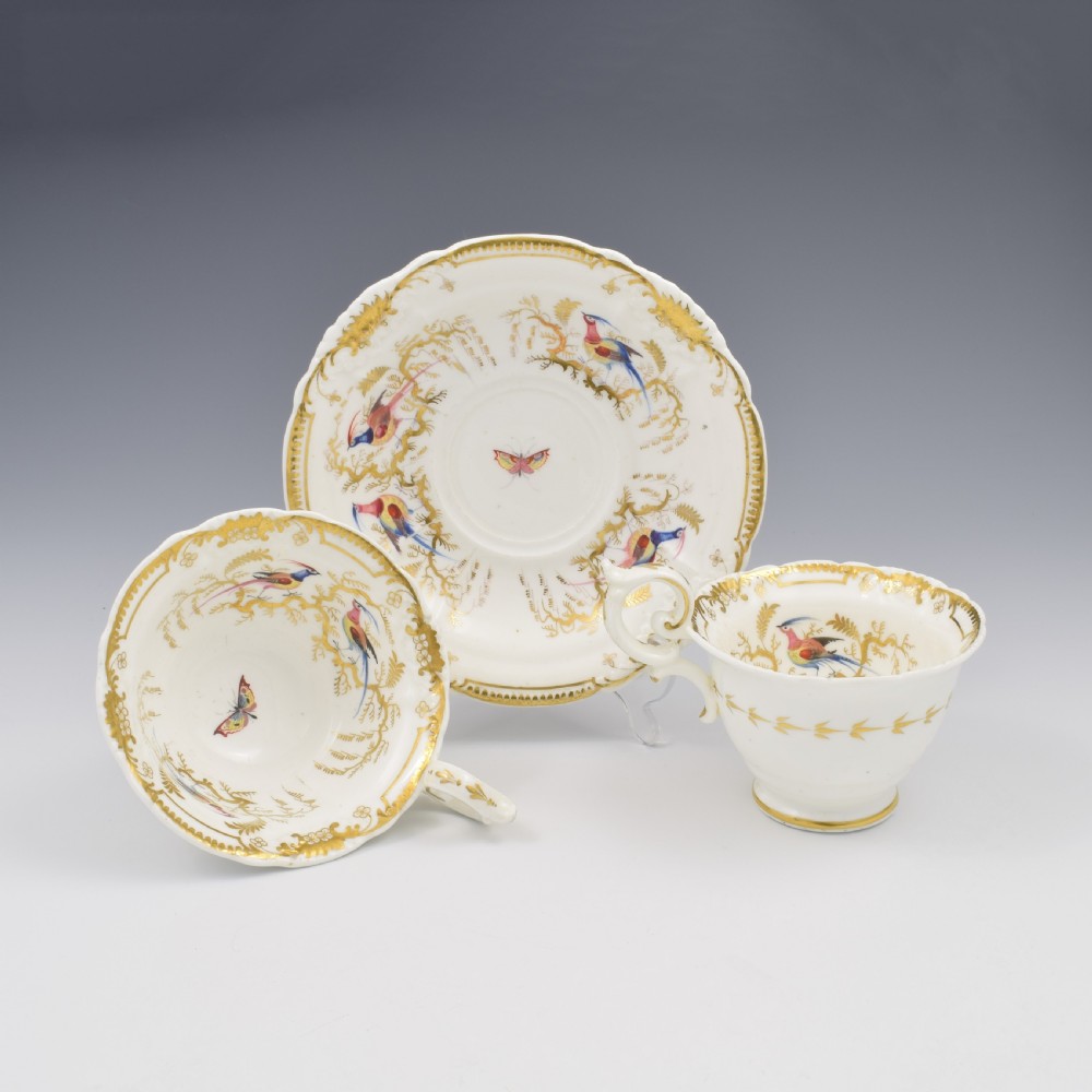 Stunning Davenport Porcelain Fancy Birds Tea and Coffee Cup & Saucer Trio Pattern 916 c.1830