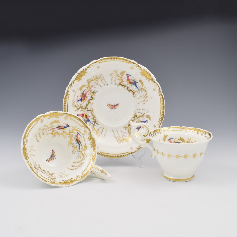 Stunning Davenport Porcelain Fancy Birds Tea and Coffee Cup & Saucer Trio Pattern 916 c.1830 View II