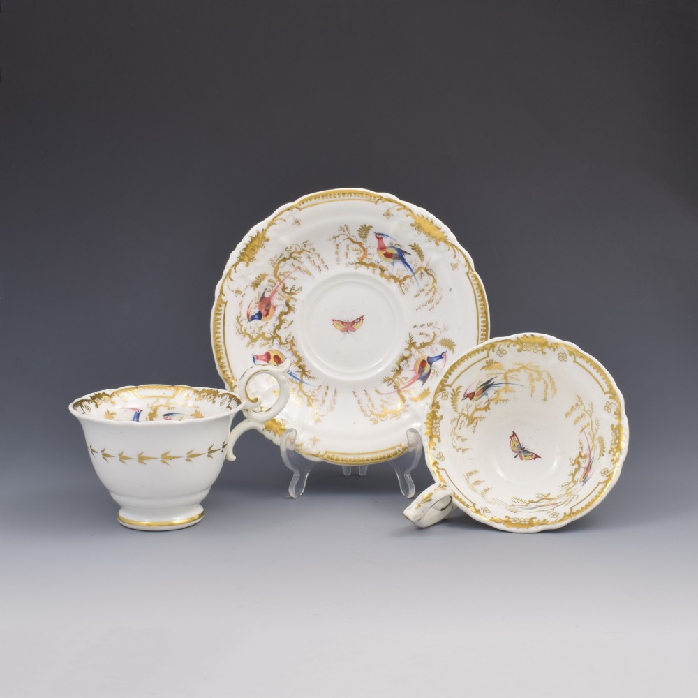 Stunning Davenport Porcelain Fancy Birds Tea and Coffee Cup & Saucer Trio Pattern 916 c.1830 View VI