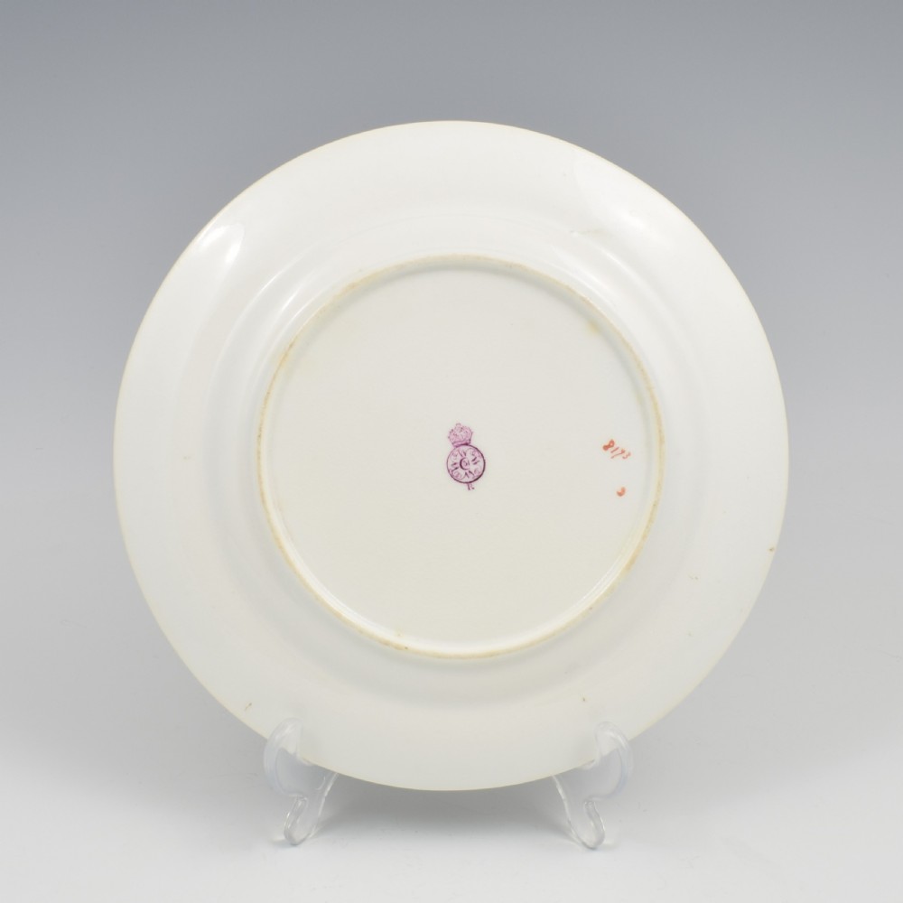 Fine Victorian Royal Worcester Sandwich / Tea Plate Hand Painted Autumnal Floral 8173 View III