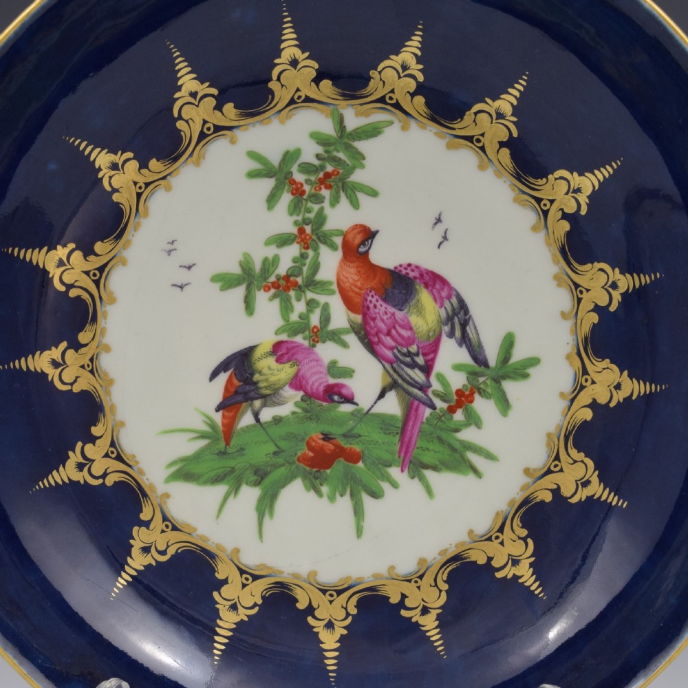 An eighteenth-century circular porcelain saucer dish featuring a deep cobalt blue border with gilt scrollwork and a white central medallion containing hand-painted exotic birds. View II