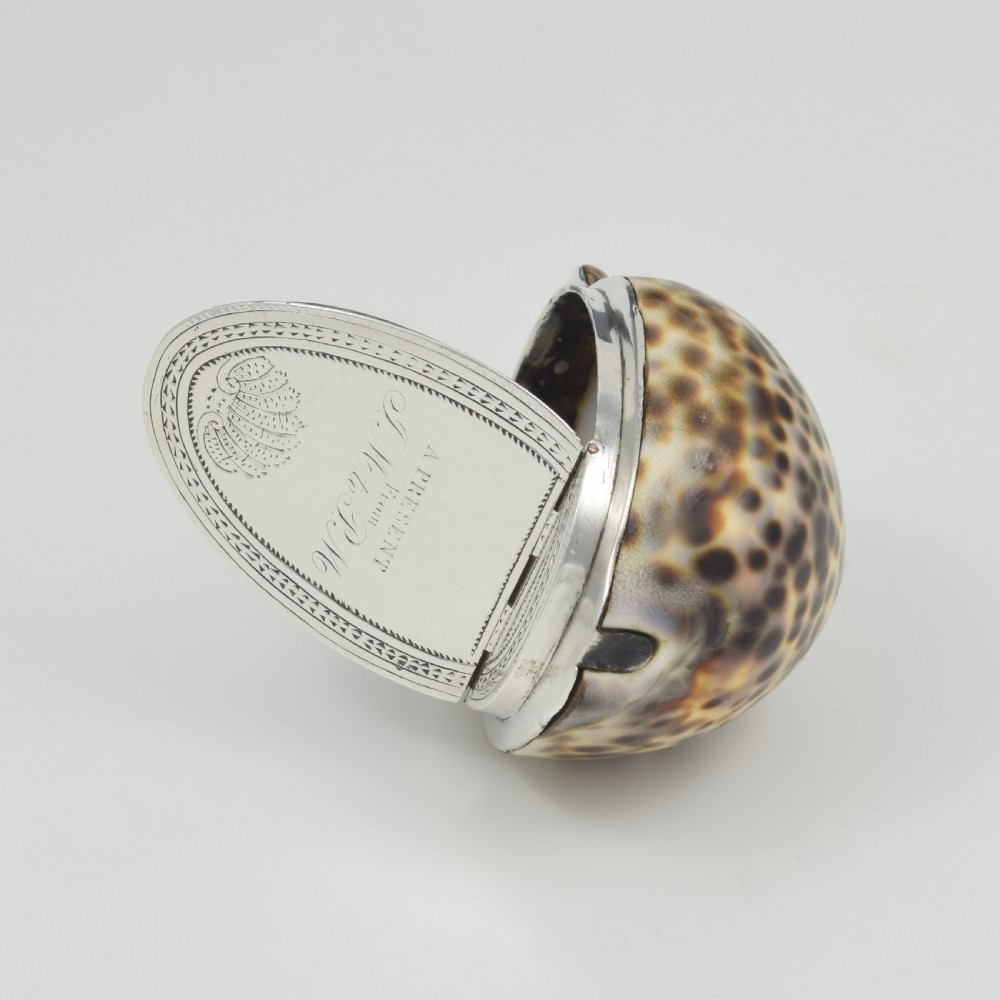 Stunning Rare Georgian Silver Mounted Cowrie Shell Snuff Box c.1800 View II