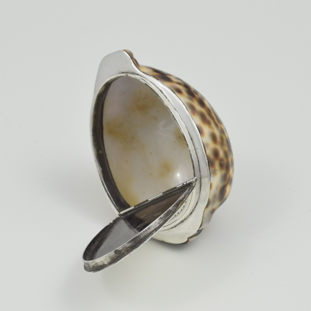 Stunning Rare Georgian Silver Mounted Cowrie Shell Snuff Box c.1800 View XIV