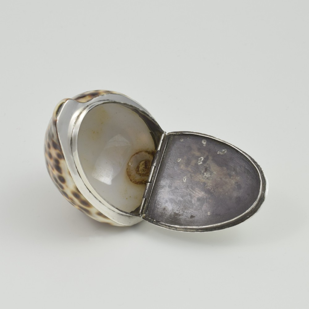 Stunning Rare Georgian Silver Mounted Cowrie Shell Snuff Box c.1800 View XV