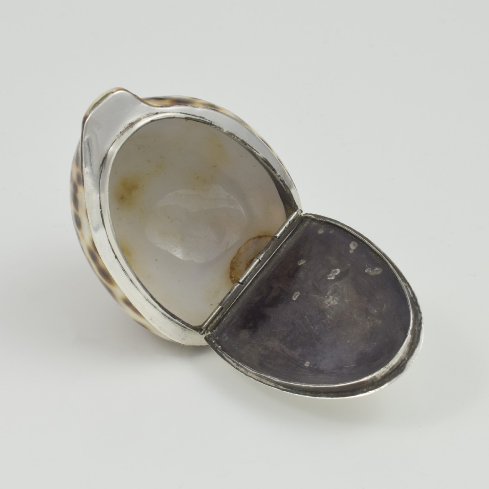 Stunning Rare Georgian Silver Mounted Cowrie Shell Snuff Box c.1800 View XVI