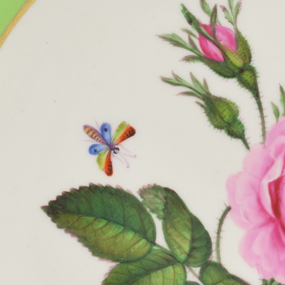 A Georgian Bloor Derby porcelain dessert plate with an apple green rim, a painted Marquess coronet crest, and a central hand-painted pink rose with insects. View IV